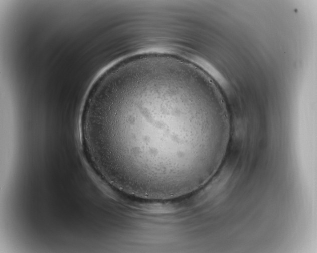 X0000099930980200805231227
