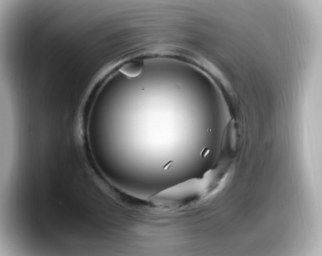 X0000099930981200805231227