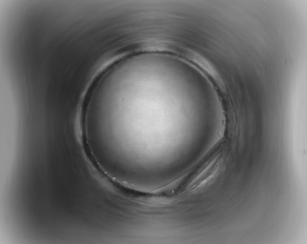 X0000099930984200805231227