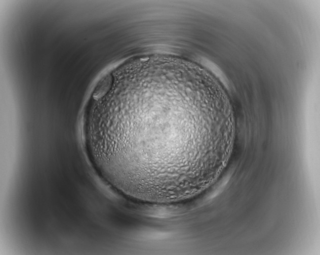 X0000099930987200805231226