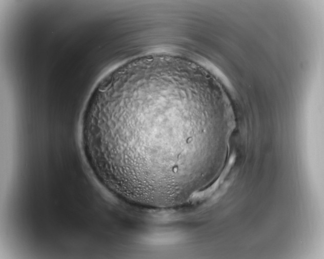 X0000099930991200805231226