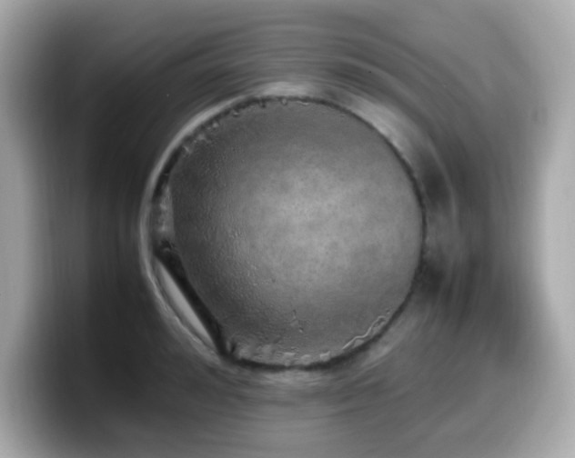 X0000099930992200805231226
