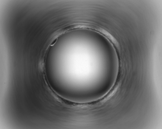 X0000099930993200805231226