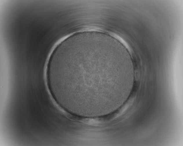 X0000099930995200805231226