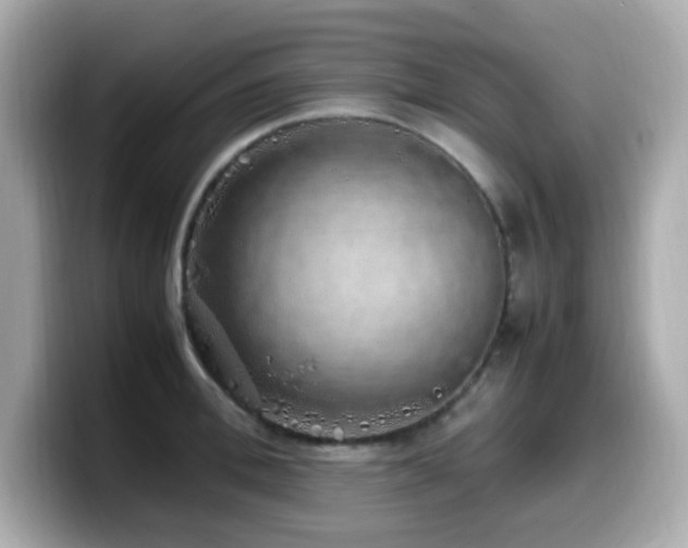 X0000099930996200805231226