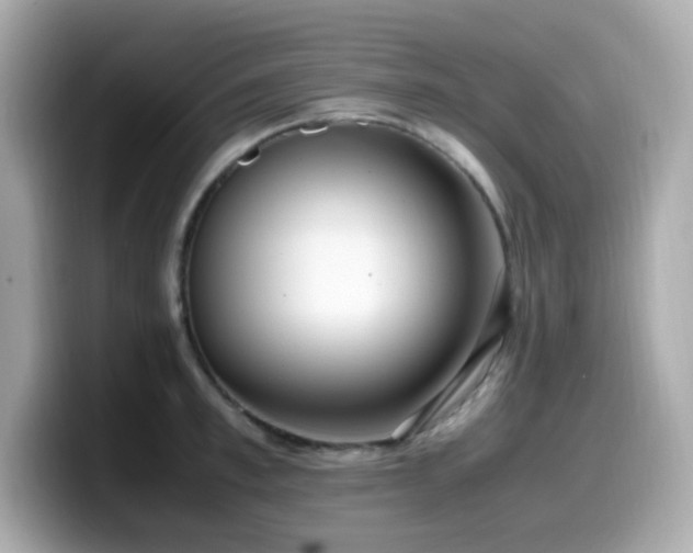 X0000099930997200805231226