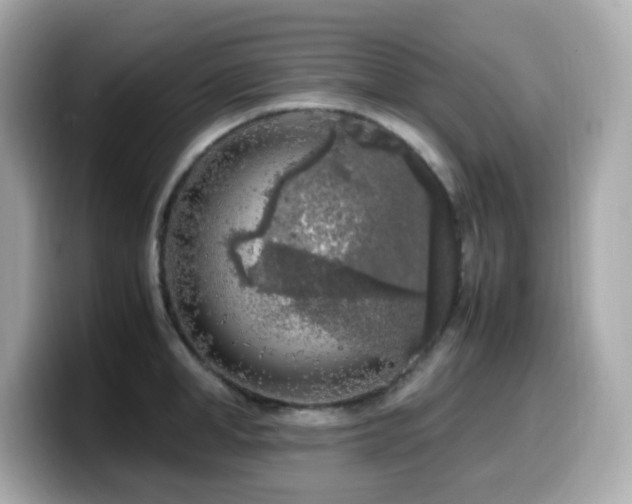X0000099930998200805231226