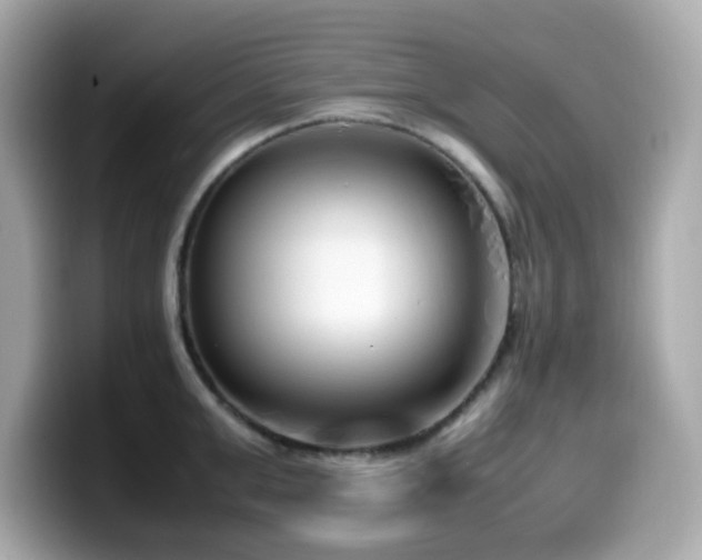 X0000099930999200805231226
