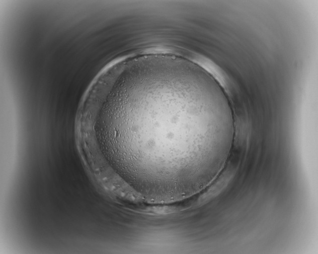 X0000099931000200805231226