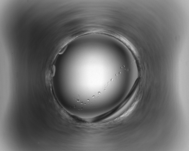 X0000099931001200805231226