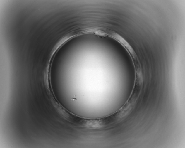 X0000099931002200805231226