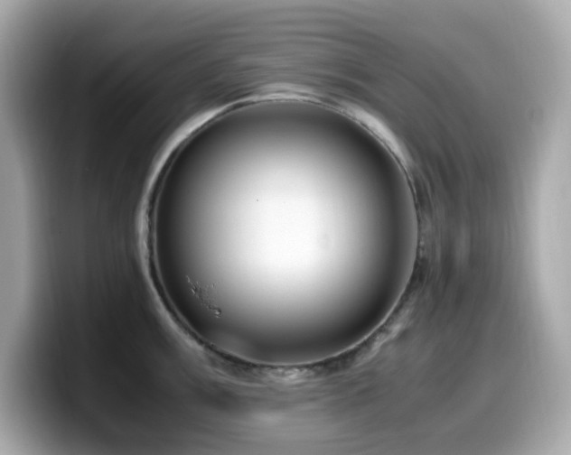 X0000099931003200805231226