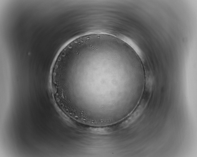 X0000099931004200805231226