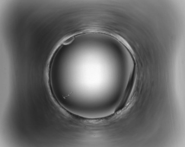 X0000099931005200805231226