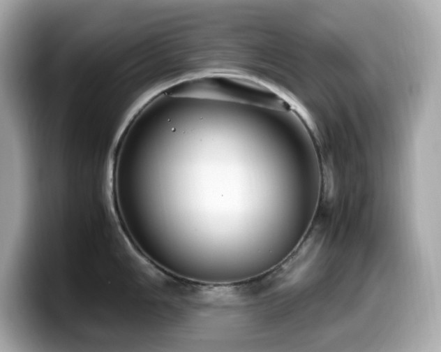 X0000099931006200805231226