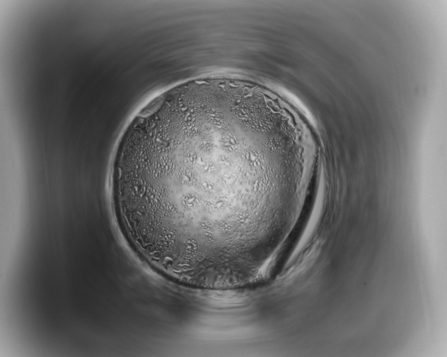 X0000099931007200805231226