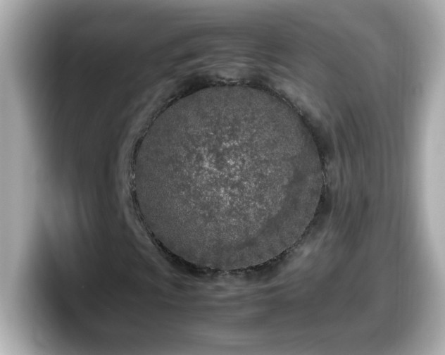 X0000099931009200805231225