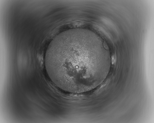 X0000099931011200805231226