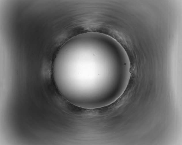 X0000099931012200805231226
