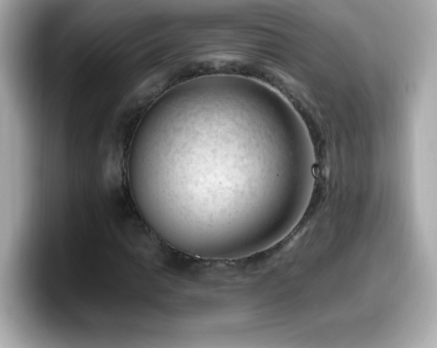 X0000099931014200805231226