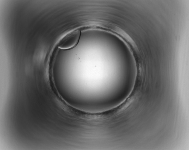 X0000099931020200805231226
