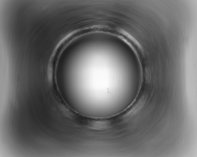 X0000099931021200805231226