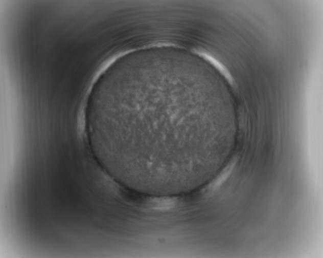 X0000099931023200805231226
