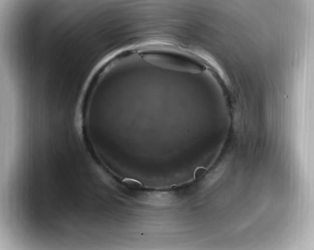 X0000099931024200805231226
