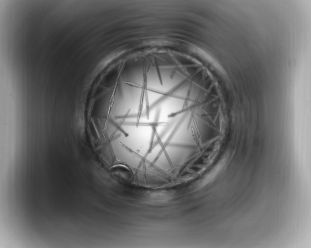 X0000099931025200805231226