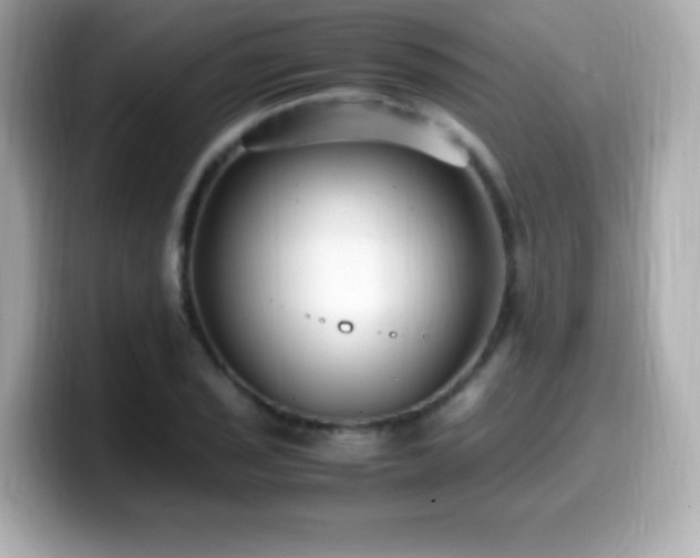 X0000099931029200805231226
