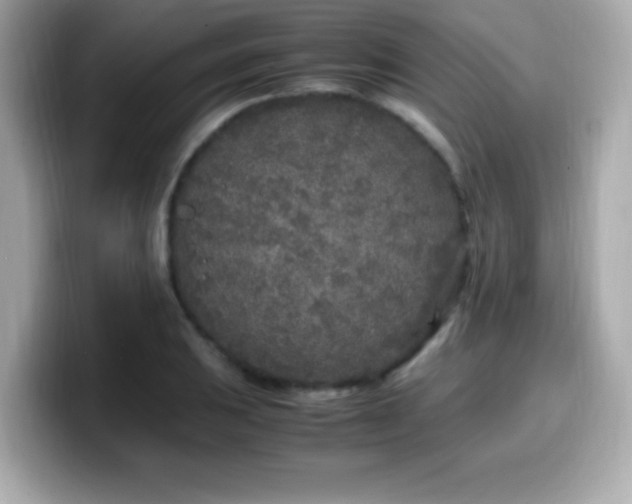 X0000099931031200805231226