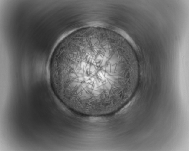 X0000099931032200805231226