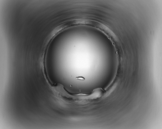 X0000099931033200805231226