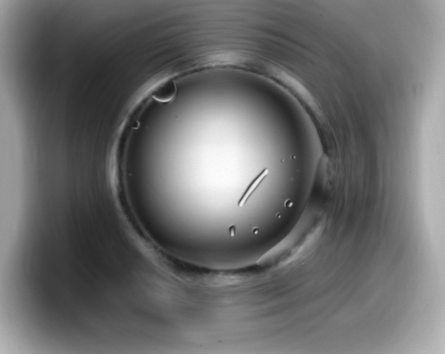 X0000099931034200805231226