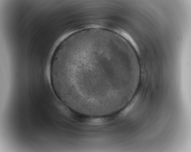 X0000099931035200805231226
