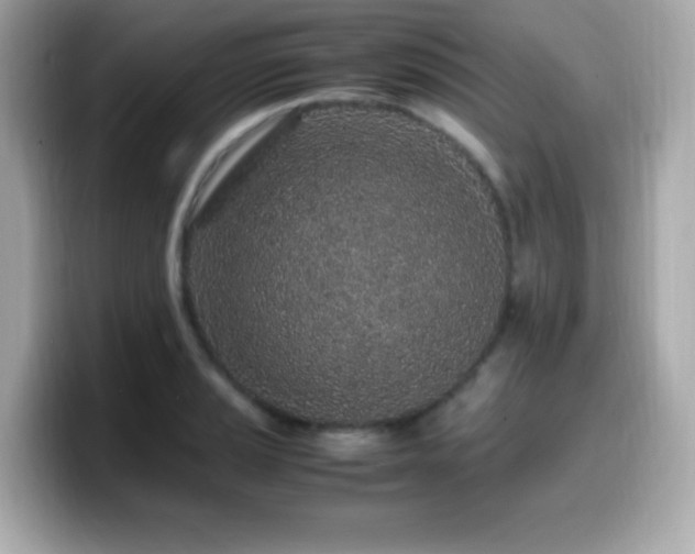 X0000099931037200805231226