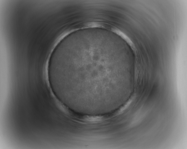 X0000099931039200805231226