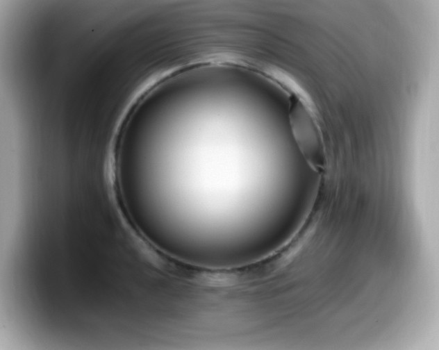 X0000099931040200805231226