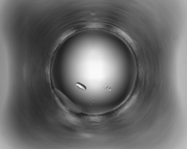 X0000099931041200805231226