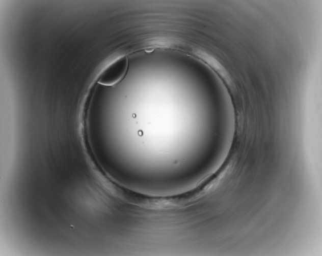 X0000099931042200805231226