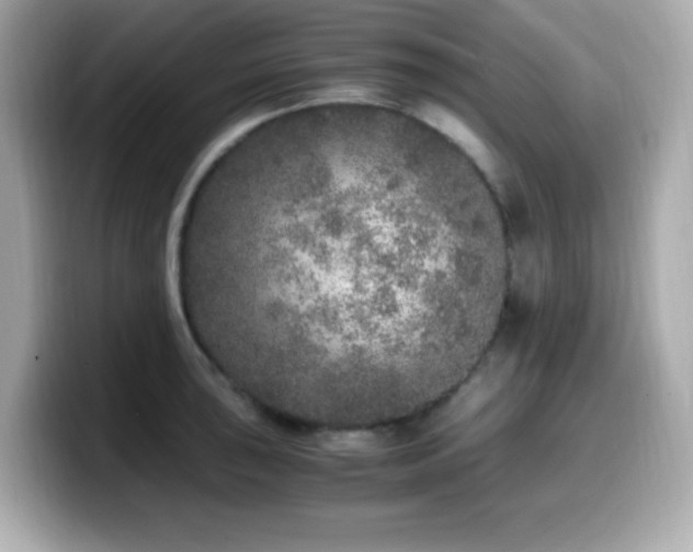 X0000099931043200805231226