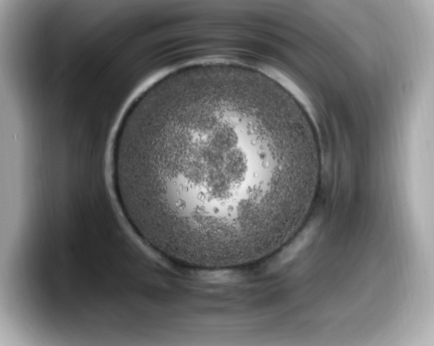 X0000099931045200805231226
