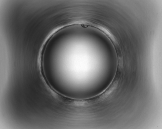 X0000099931046200805231226