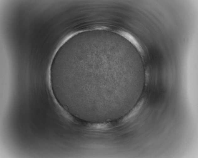 X0000099931047200805231226