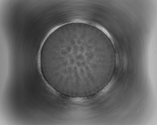 X0000099931048200805231226