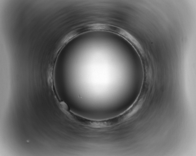 X0000099931049200805231226