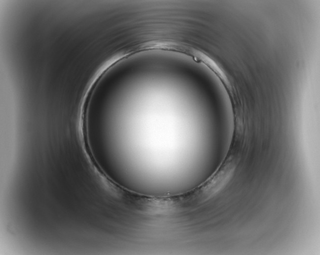 X0000099931050200805231226