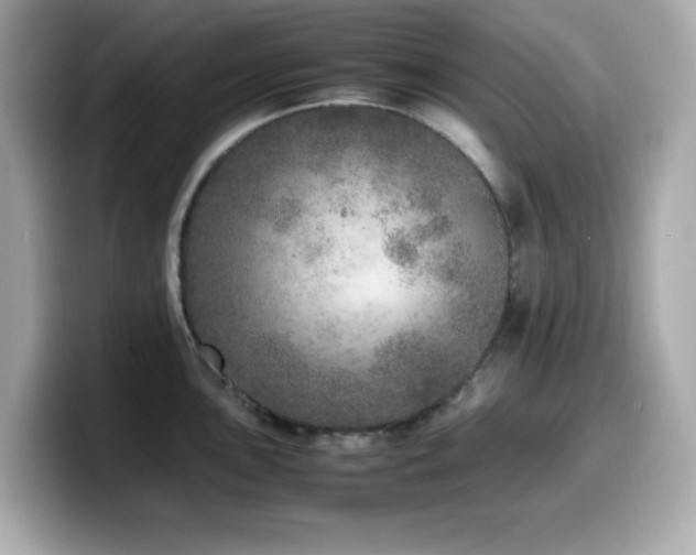 X0000099931051200805231226