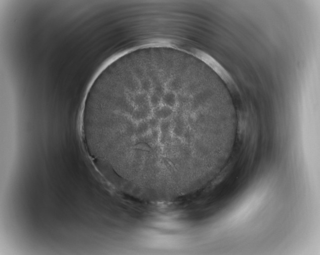 X0000099931052200805231226
