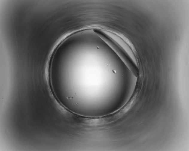 X0000099931054200805231226